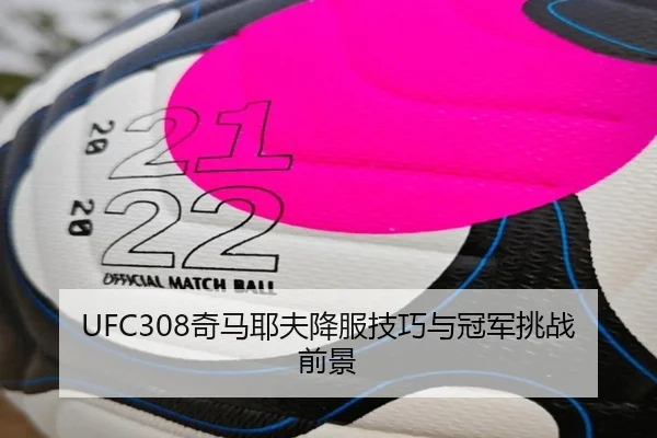 UFC308奇马耶夫降服技巧与冠军挑战前景