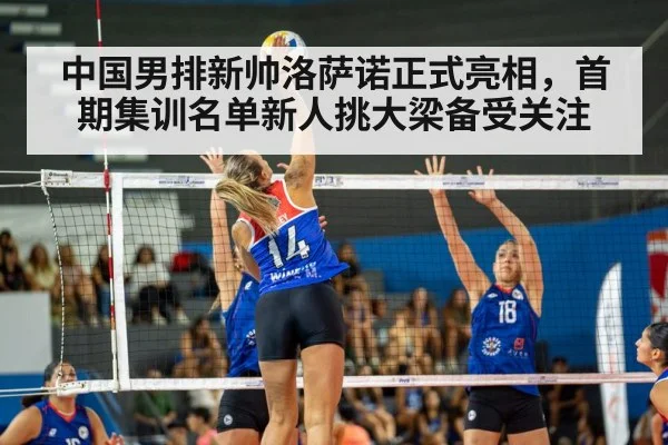 中国男排新帅洛萨诺正式亮相，首期集训名单新人挑大梁备受关注