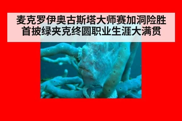 麦克罗伊奥古斯塔大师赛加洞险胜首披绿夹克终圆职业生涯大满贯