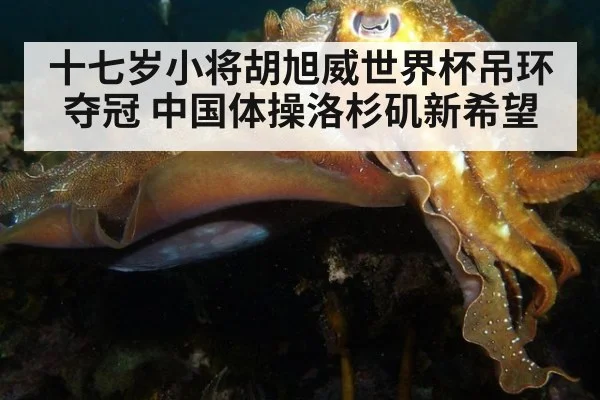 十七岁小将胡旭威世界杯吊环夺冠 中国体操洛杉矶新希望